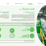 Annual Report Design and content development